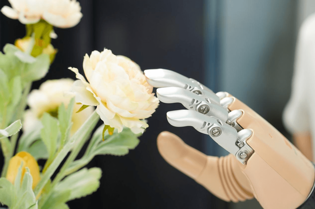 一只肤色款的BrainCo智能仿生手，正轻柔地触摸一朵娇嫩的奶油色花朵，展现了其细腻的感知与交互能力。